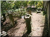 060919-Francie-227.JPG