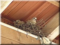 060923-Francie-7179_LFS.JPG