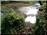 060926-Francie-123.JPG