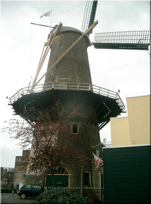 IMGP0008.JPG