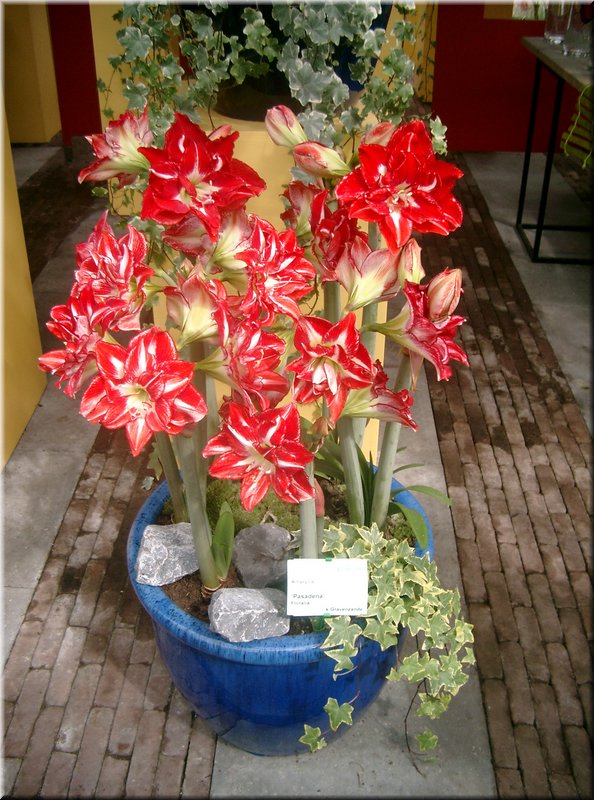 IMGP0192.JPG
