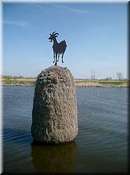 IMGP0102.JPG