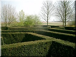 IMGP0163.JPG