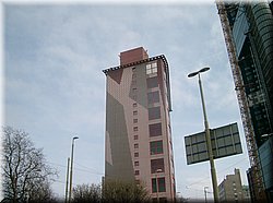IMGP0288.JPG