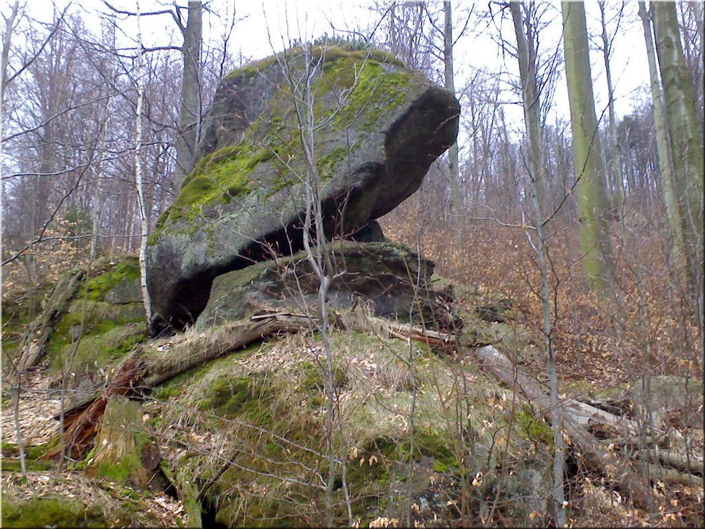 080419-Oresnik-10.JPG
