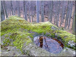 080419-Oresnik-05.JPG