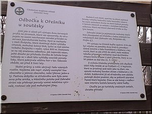080419-Oresnik-24.JPG