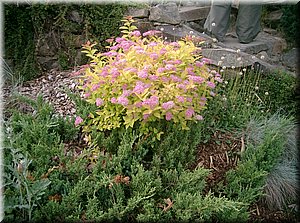 100619-Marhoul-67.JPG