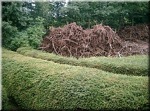 100807-Hradek-82.JPG