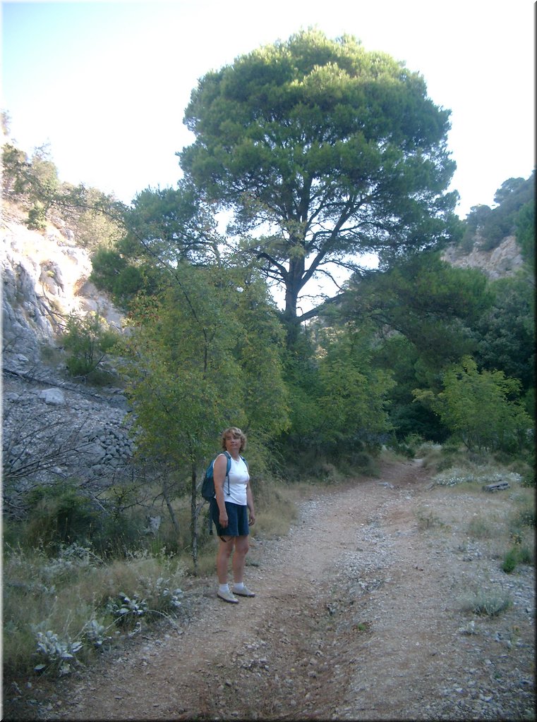 100827-jachtaIrena-4189_Brc.JPG
