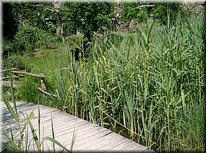 110522-ZOO-074.JPG