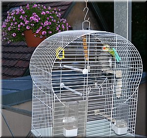 110627-narAdelkaMadla-Man-17c.jpg