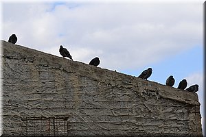 111118-Atheny-040holubic.jpg