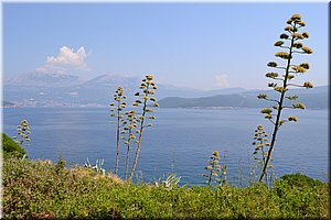 120804-Balkan-0792.JPG