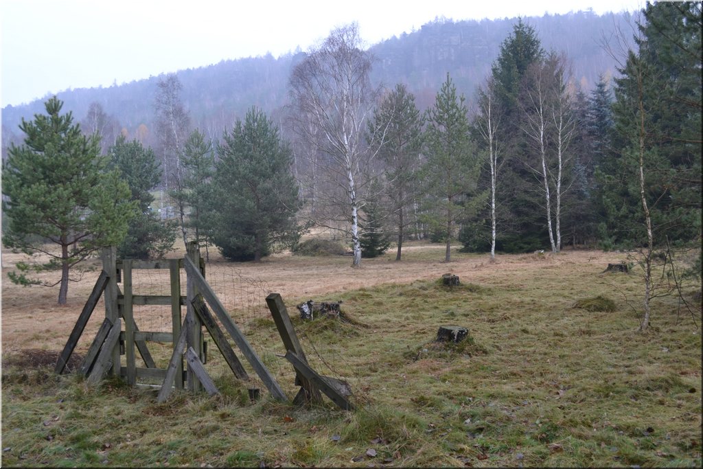 121119-Ostrov-008.JPG
