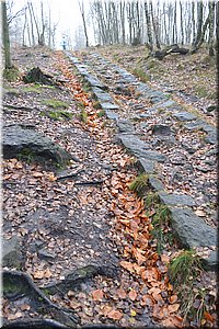121119-Ostrov-031.JPG