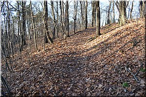 121201-Cibulka-22.JPG