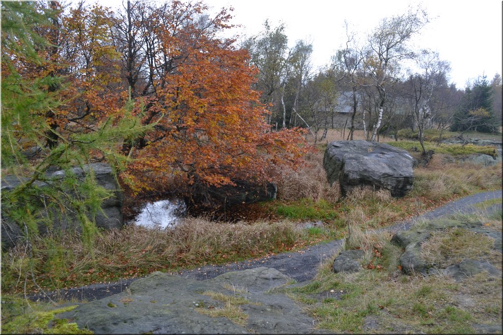 131021-Ostrov-151.JPG