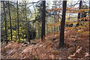 131019-Ostrov-014.JPG