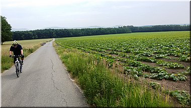 150627_110504_25.jpg