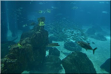 150909-Portugalsko-0349.JPG