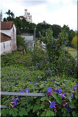 150916-Portugalsko-1294.JPG
