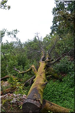 150916-Portugalsko-1388.JPG