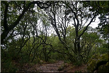 150916-Portugalsko-1391.JPG