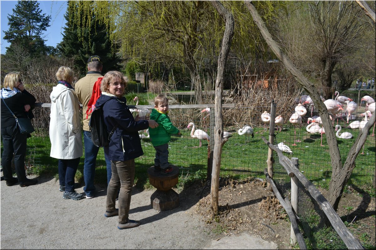 160402-ZOO-039.JPG