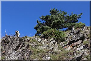 IMG_1943.JPG