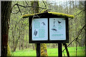 170429-Vysker-453_Aja.JPG