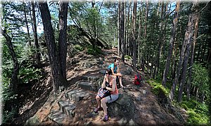 170624-Vena50iny-06241240541795.jpg