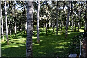 171011-Tenerife-0083.JPG