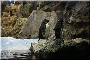 171011-Tenerife-0117.JPG