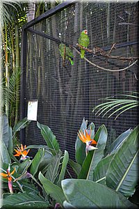 171011-Tenerife-0127.JPG