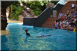 171011-Tenerife-0150.JPG