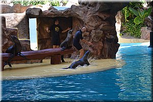 171011-Tenerife-0164.JPG