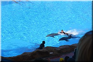 171011-Tenerife-0231.JPG