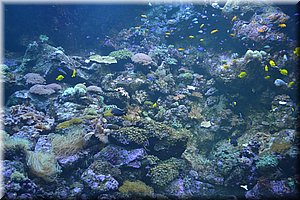 171011-Tenerife-0313.JPG