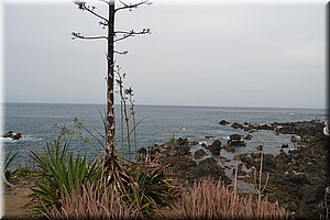 171012-Tenerife-0429.JPG
