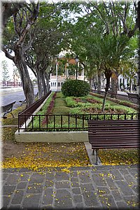 171015-Tenerife-0836.JPG