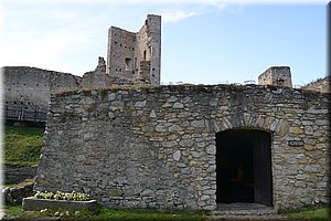 190830-Rabi-072.JPG