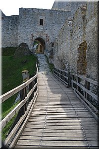 190830-Rabi-085.JPG