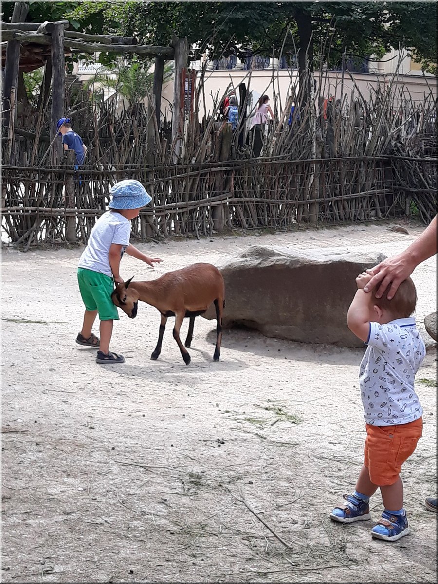 200802 ZOO Dvur Kralove 06.jpg