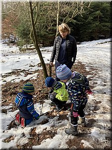 210224-6-v lese-1270_KF.JPG