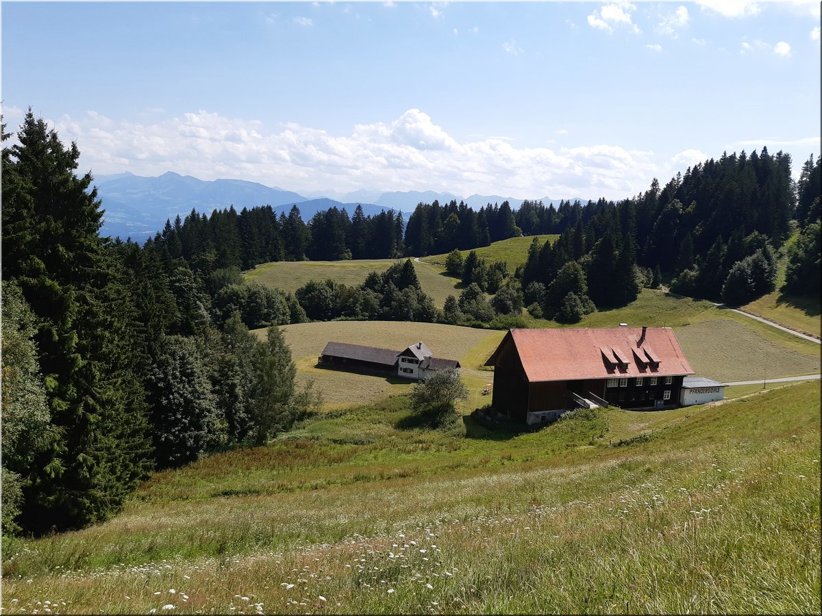 2021-08-11-Pfaender-134834.jpg