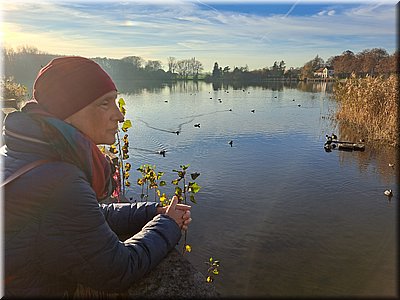 221112-proch-Hostivice-150553.jpg