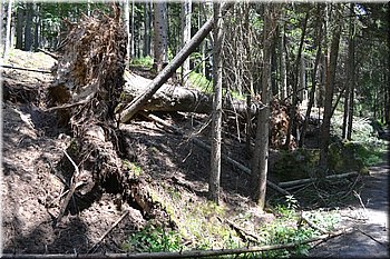 230708-peso-Vydra-0172.JPG