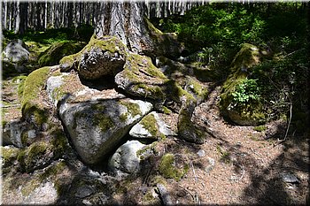230708-peso-Vydra-0178.JPG