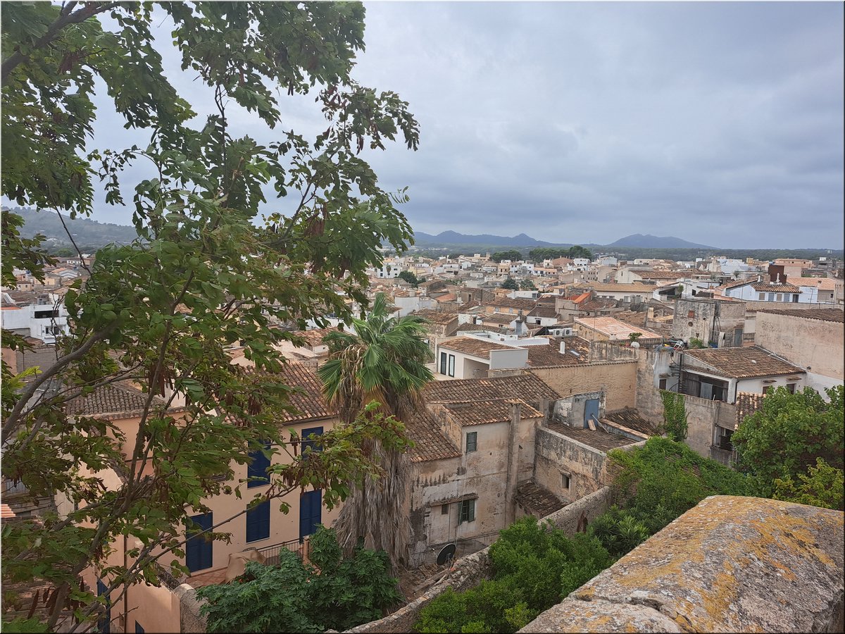 230903-Mallorca-115536.jpg